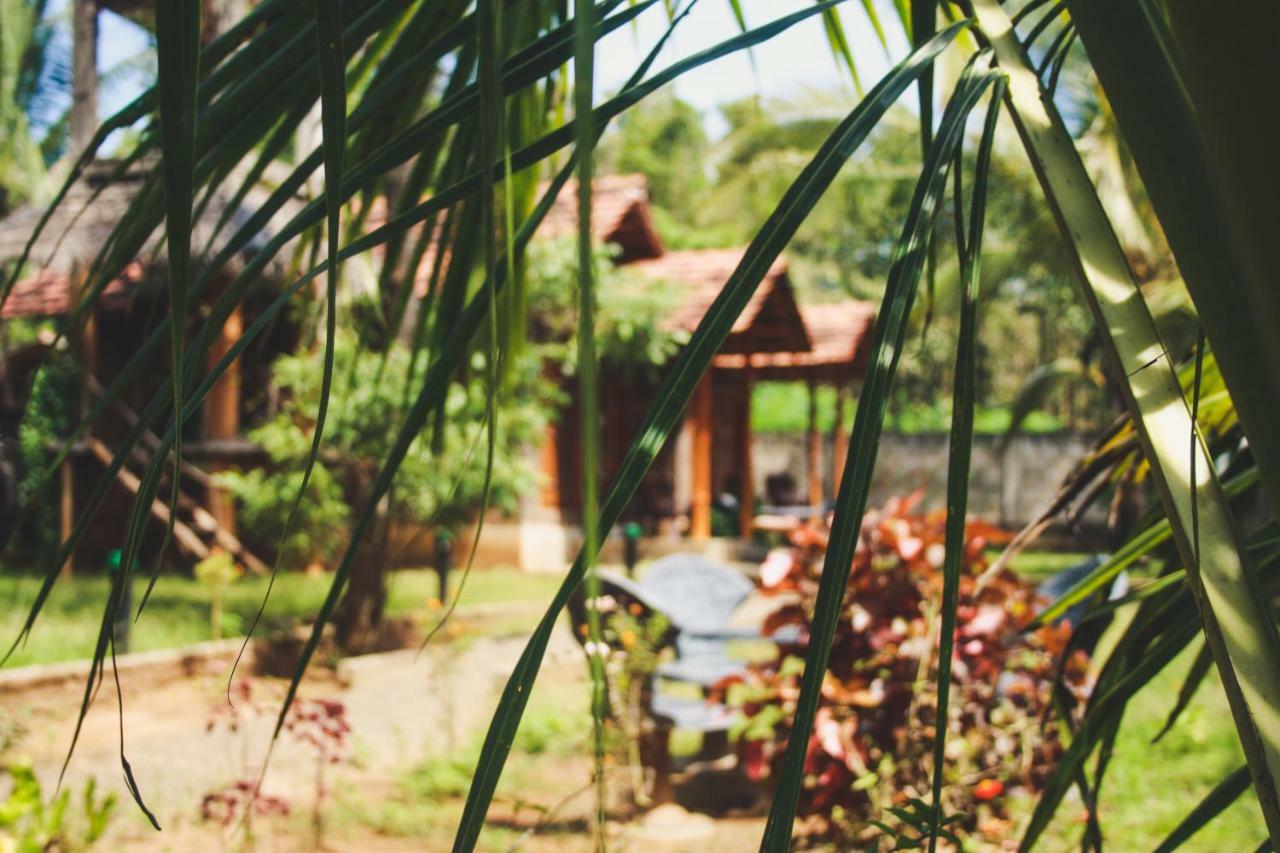 Clay House Hotel Udawalawe Kültér fotó